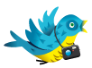 Share on Twitter Share on Twitter