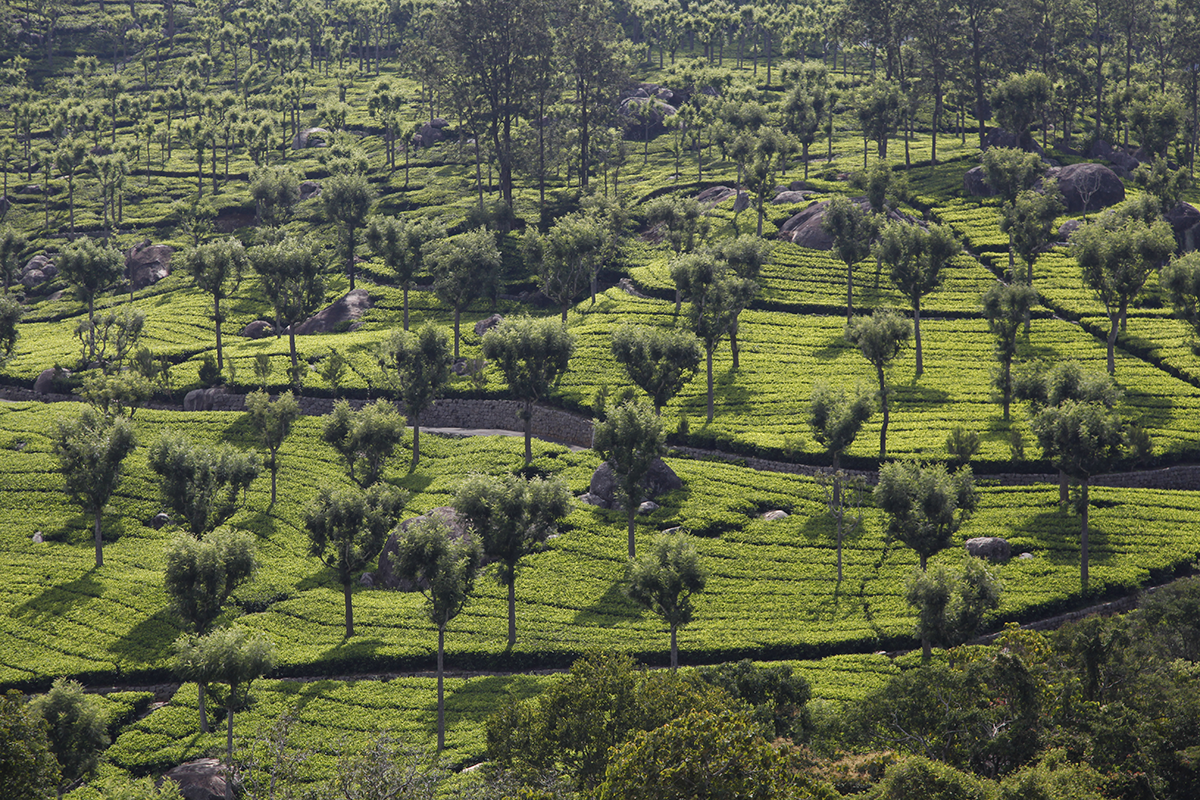 Changing landscapes Changing landscapes