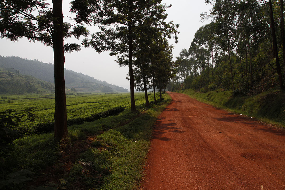 Heading to Rwanda Heading to Rwanda