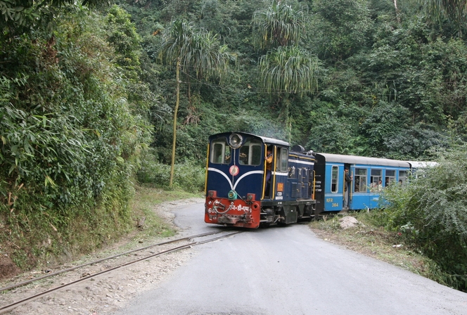 The little Darjeeling train