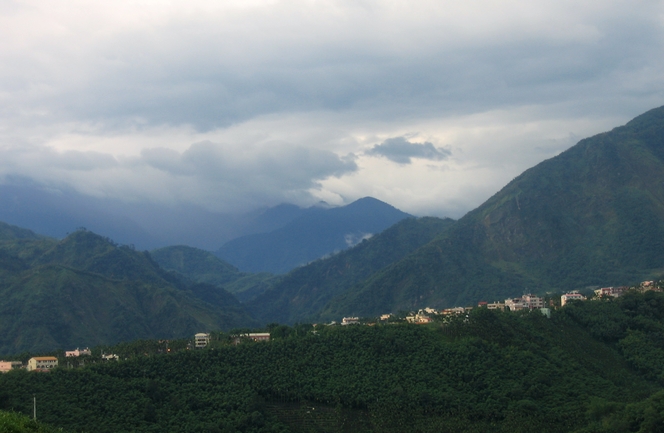 Wu Long teas from Taiwan, jewels of teas