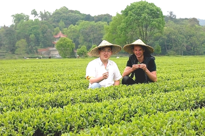 Ye Yingkai, producer of Fujian teas