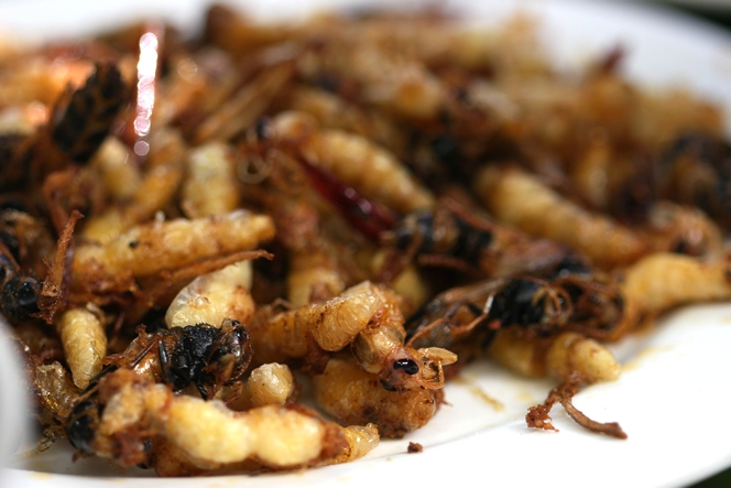 Pan-fried hornets with chilli and garlic