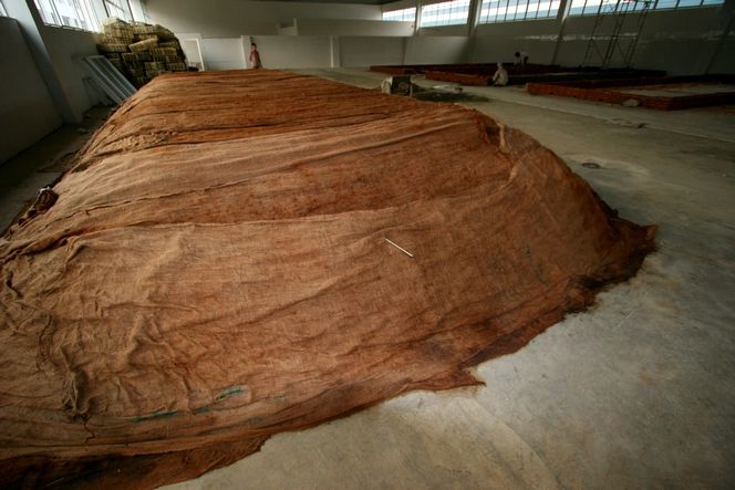 Some Pu Erh teas ferment under cover