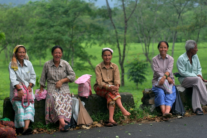 We have just received a new first flush Darjeeling !