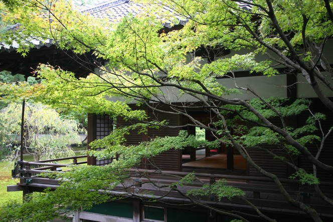 The Shoren-In temple in Kyoto: a haven of peace