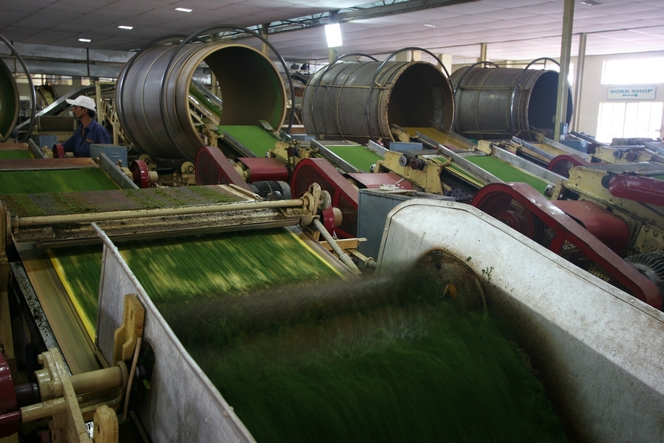 Machines used in the tea bag industry