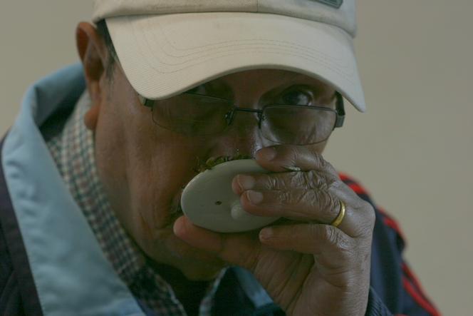 Smelling the wet tea leaves : an essential step