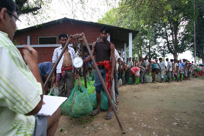 Tea pluckers gathering to get their bags weighed