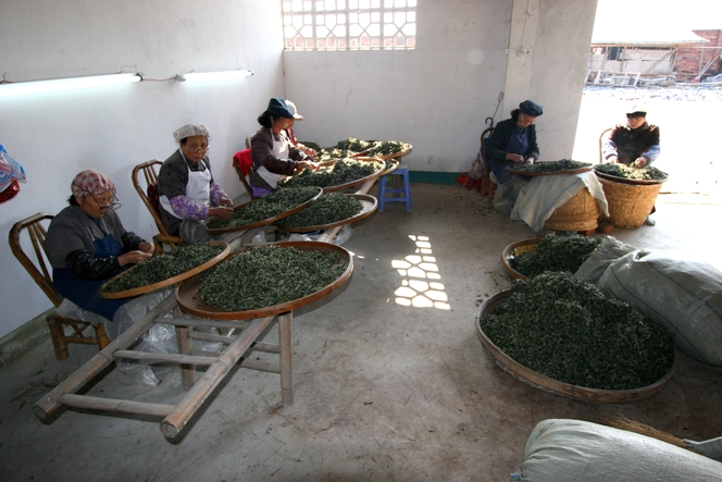 Selecting the best tea requires patience