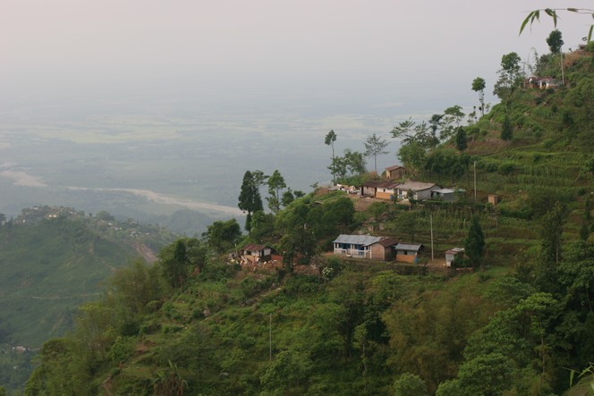 The first estates to harvest are at low altitudes The first estates to harvest are at low altitudes