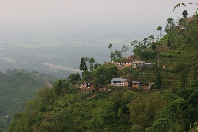 The first estates to harvest are at low altitudes