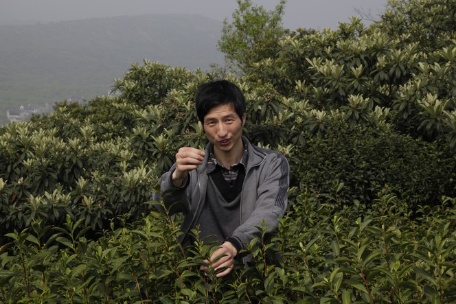 Bi Luo Chun: one of the rarest China teas