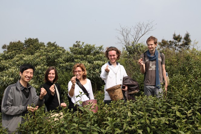 On the tea routes with my colleagues