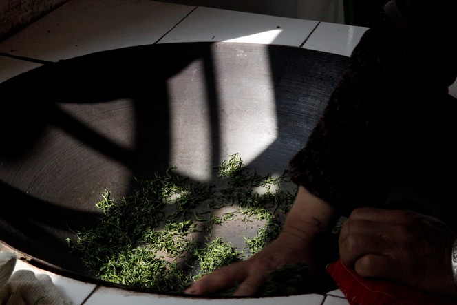 Processing tea leaves in China