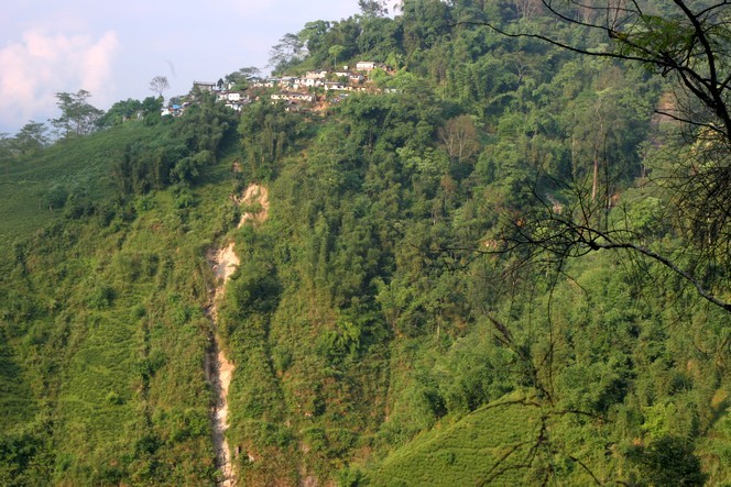 India: heavy rains cause landslides