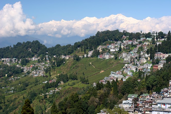 Darjeeling: the dream and the reality