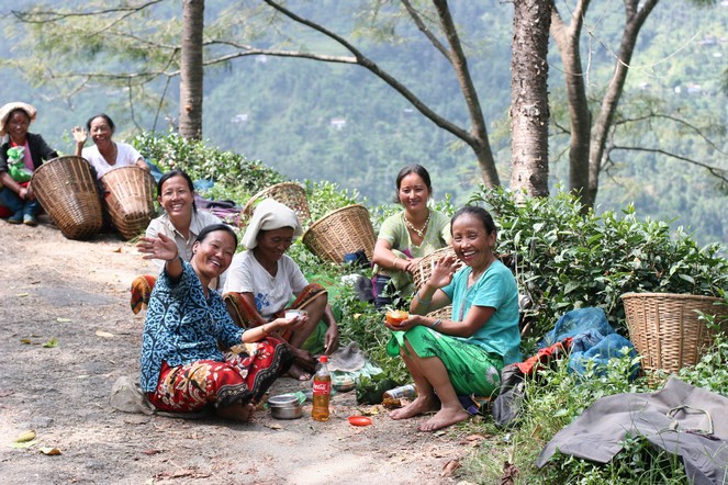 Taking a break on the tea plantations Taking a break on the tea plantations