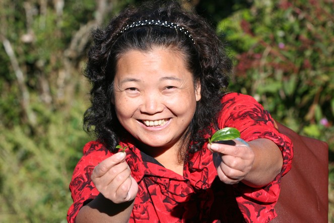 Tribute to women working in the tea industry