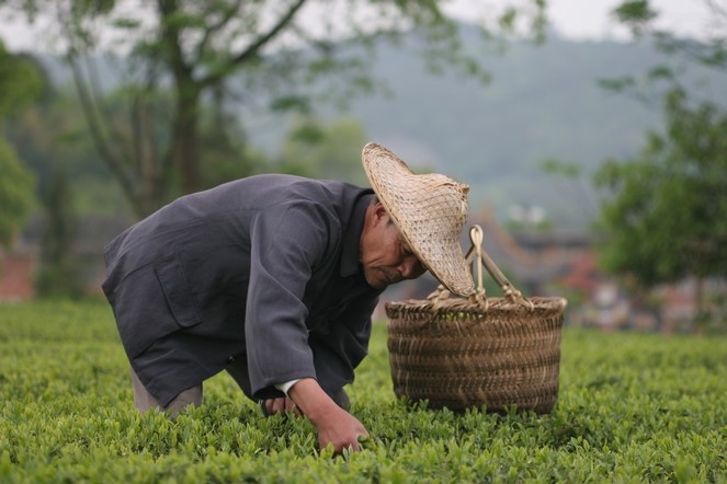 Spring teas