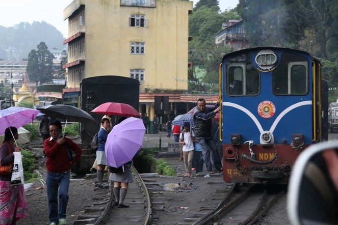 The Toy Train of Darjeeling sets off!