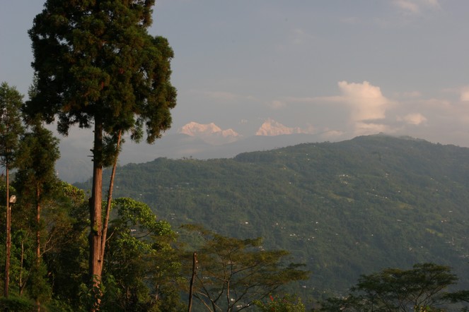 Autumn landscape in Darjeeling