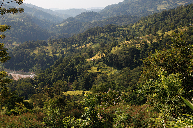 Nepal: exceptional teas and scenery