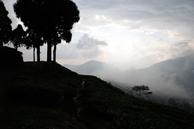 Under the Himalayan clouds