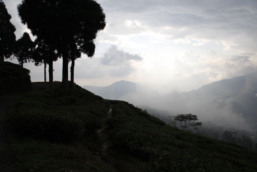 Waiting for rain in Darjeeling