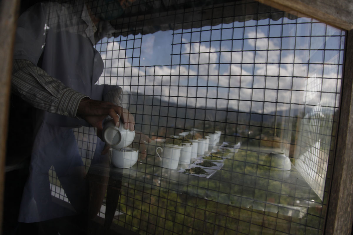 Waiting for the tea tasting to begin