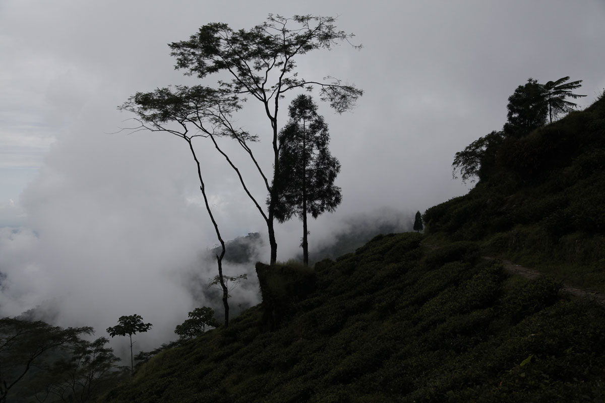 The situation is dangerous in Darjeeling