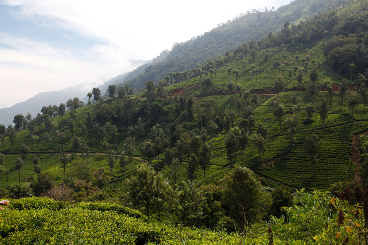 Mountains in Southern India