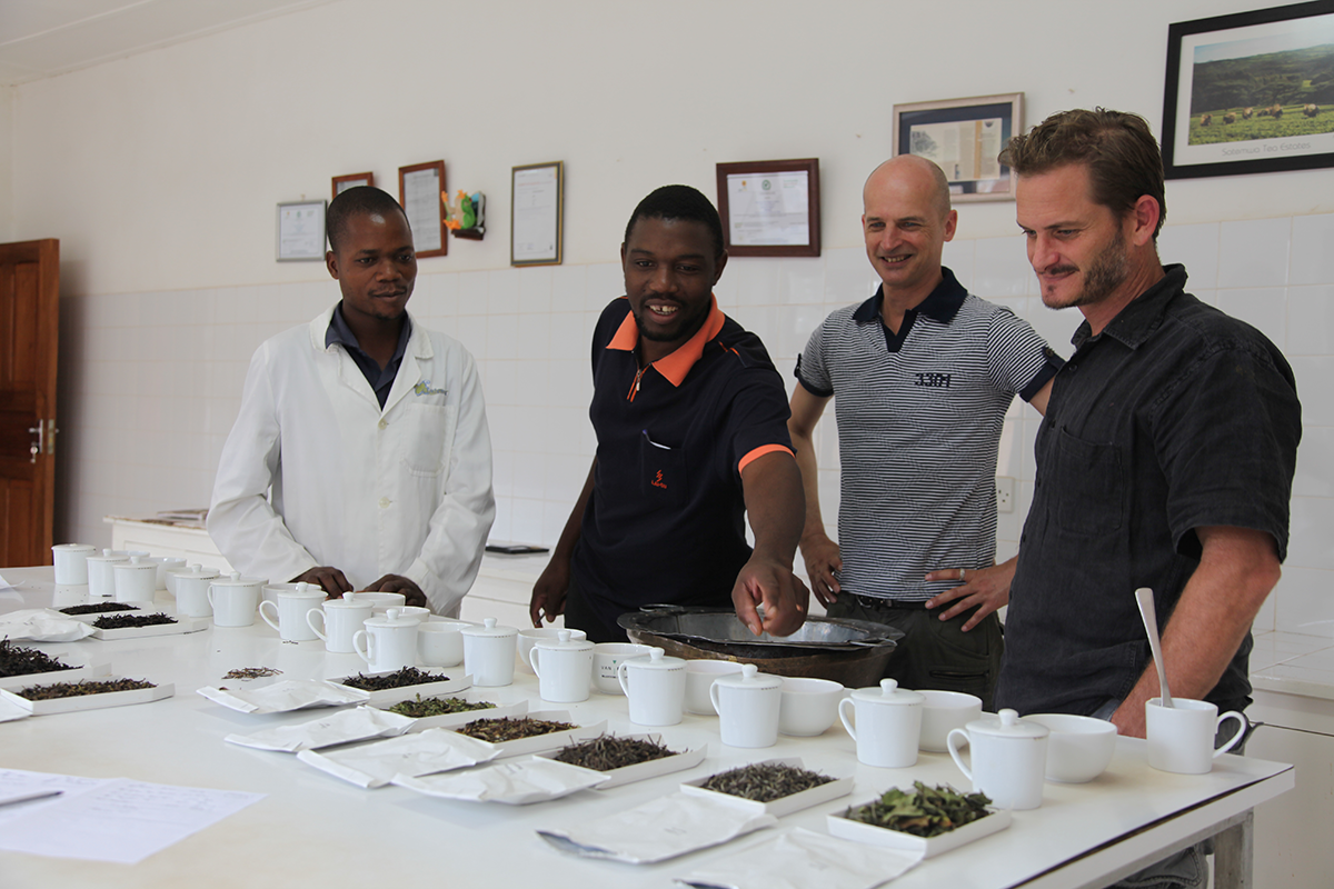 Tasting teas by other farmers Tasting teas by other farmers