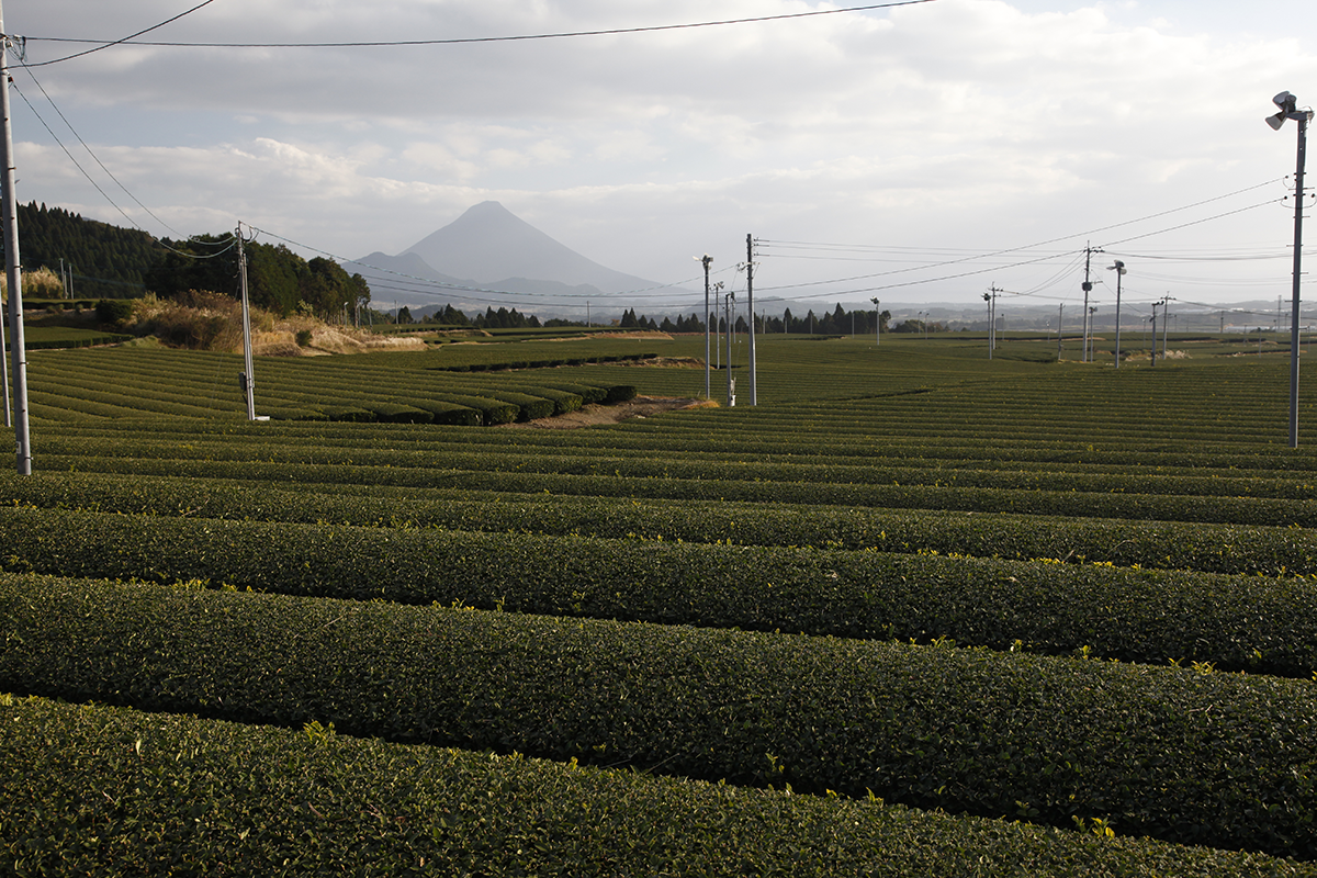 A volcano in the landscape