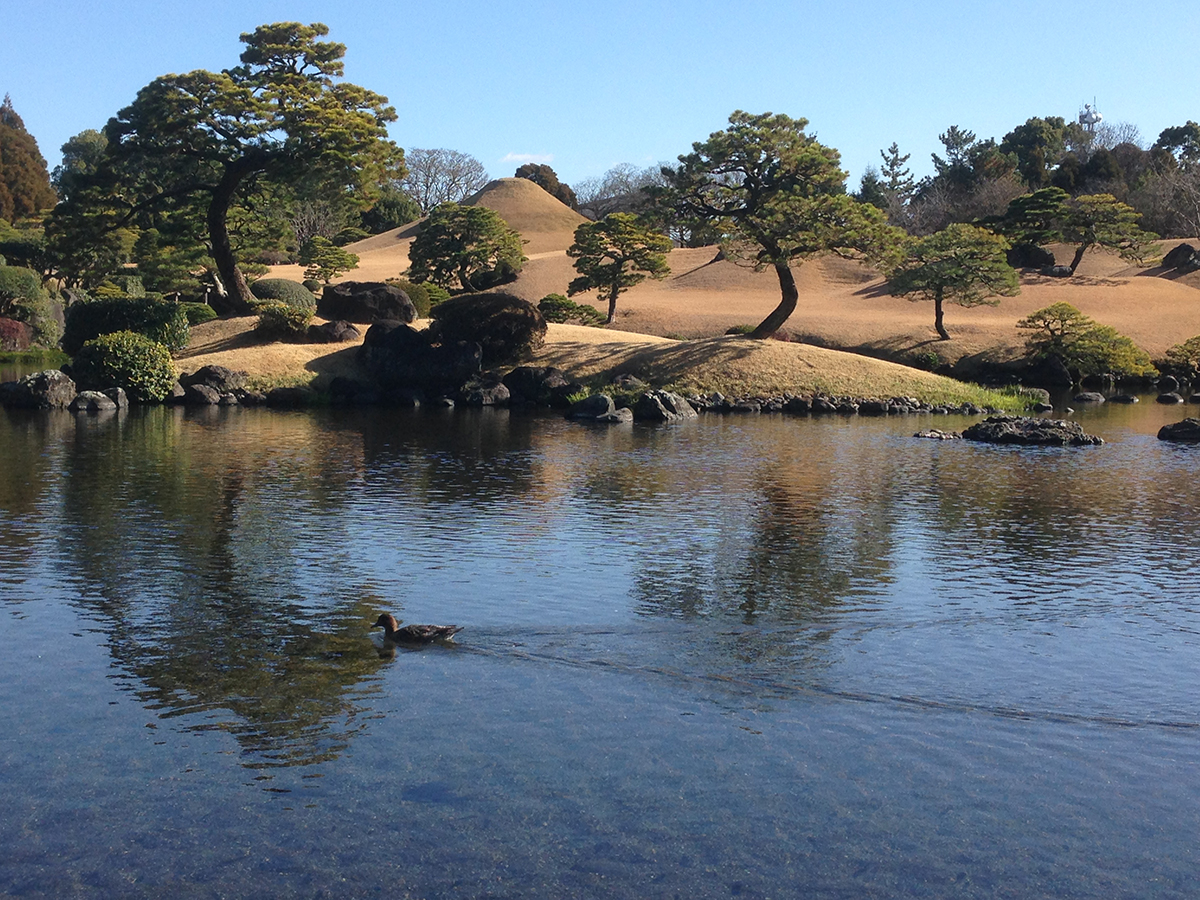 The Suizen-ji garden in Kumamoto