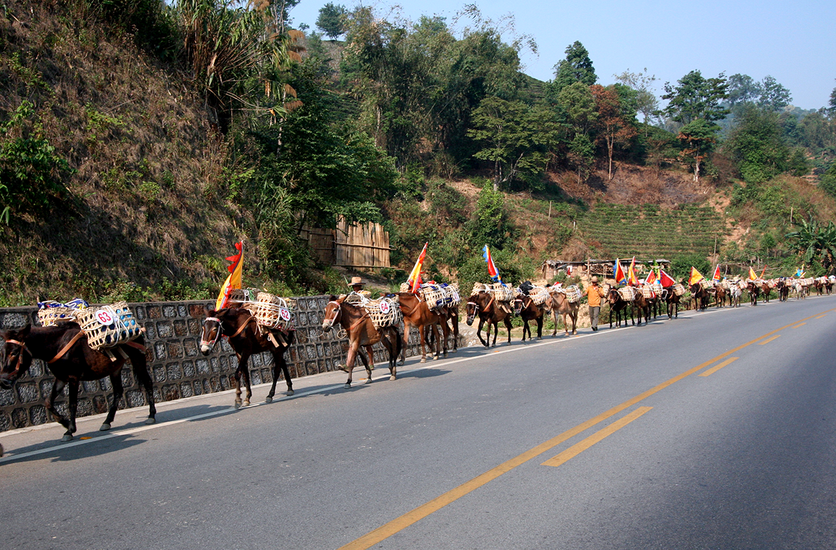 The tea routes