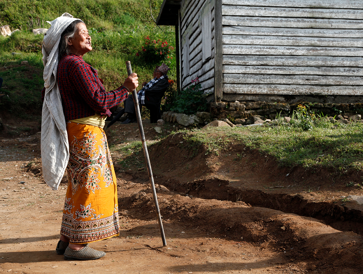 Tea researcher, a process of investigation