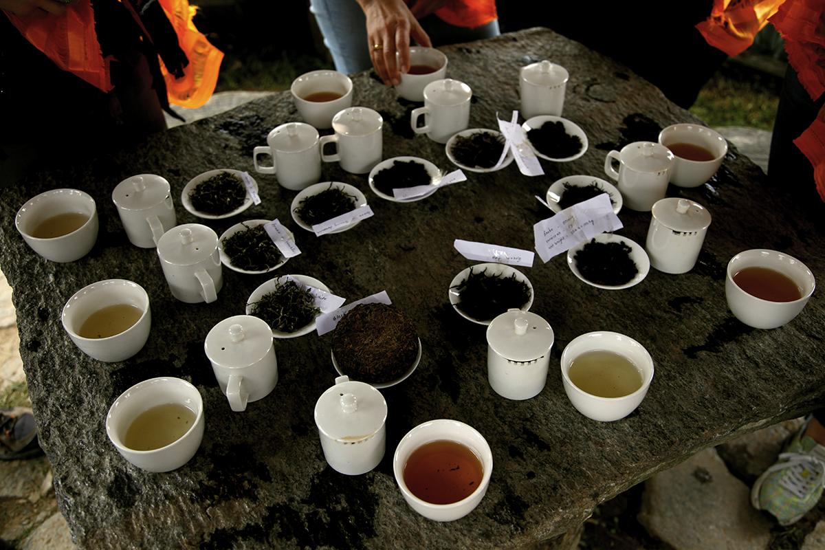 Tasting tea outdoors