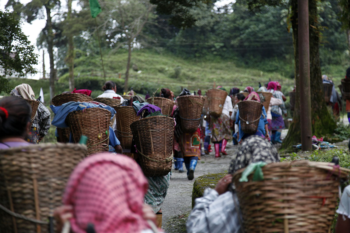 A difficult situation in Darjeeling