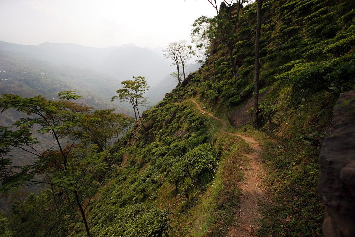 Around the mountainside Around the mountainside